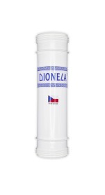 Regenerace Dionely FAM1