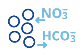 Iontovýměnné pryskyřice