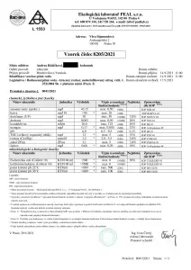 Rozbor před úpravou