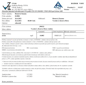 Rozbor Rousovi s Dionelou